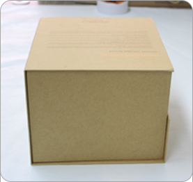 1533975819179558.jpg 案2.jpg