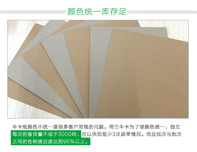 008荷蘭?？?jpg