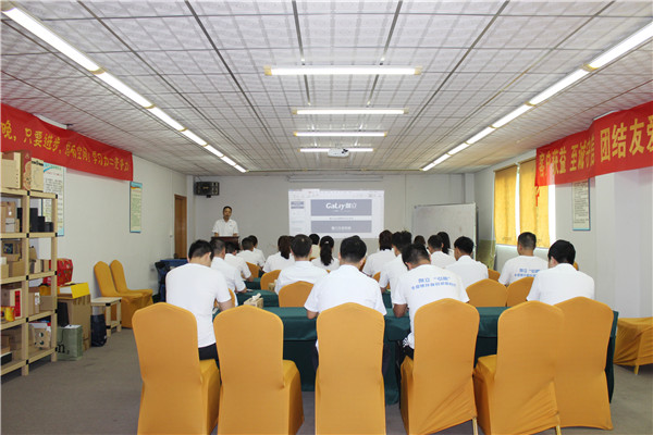 伽立集團銷售會 伽立集團銷售會