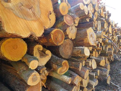 11月12月包裝紙價格將高位震蕩、緩慢上行